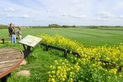 Werk aan de Waalse Wetering van 