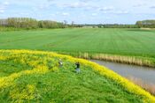 Werk aan de Waalse Wetering van 