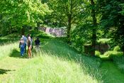 Fort bij Rijnauwen van 