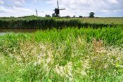 Liniepad bij Fort Altena van 