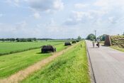 Diefdijk bij Culemborg van 