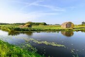 Woudrichem van 