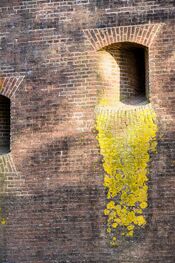 Fort Honswijk van 