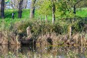 Fort bij Nigtevecht van 