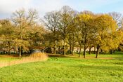 Fort bij Rijnauwen van 