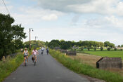 Fietsers op de Diefdijk van 