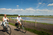 Fietsers bij Polder Blokhoven van 