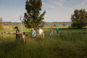 Wandelen in de uiterwaarden bij Fort Honswijk van 